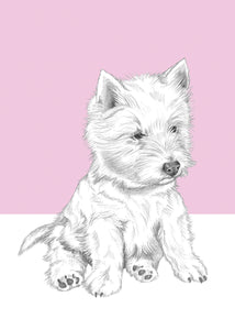 Westy