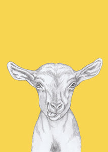 kid goat