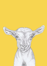Load image into Gallery viewer, kid goat
