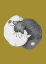 Load image into Gallery viewer, Yin Yang
