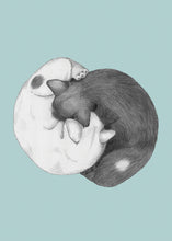 Load image into Gallery viewer, Yin Yang
