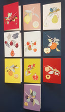 Load image into Gallery viewer, fruit
