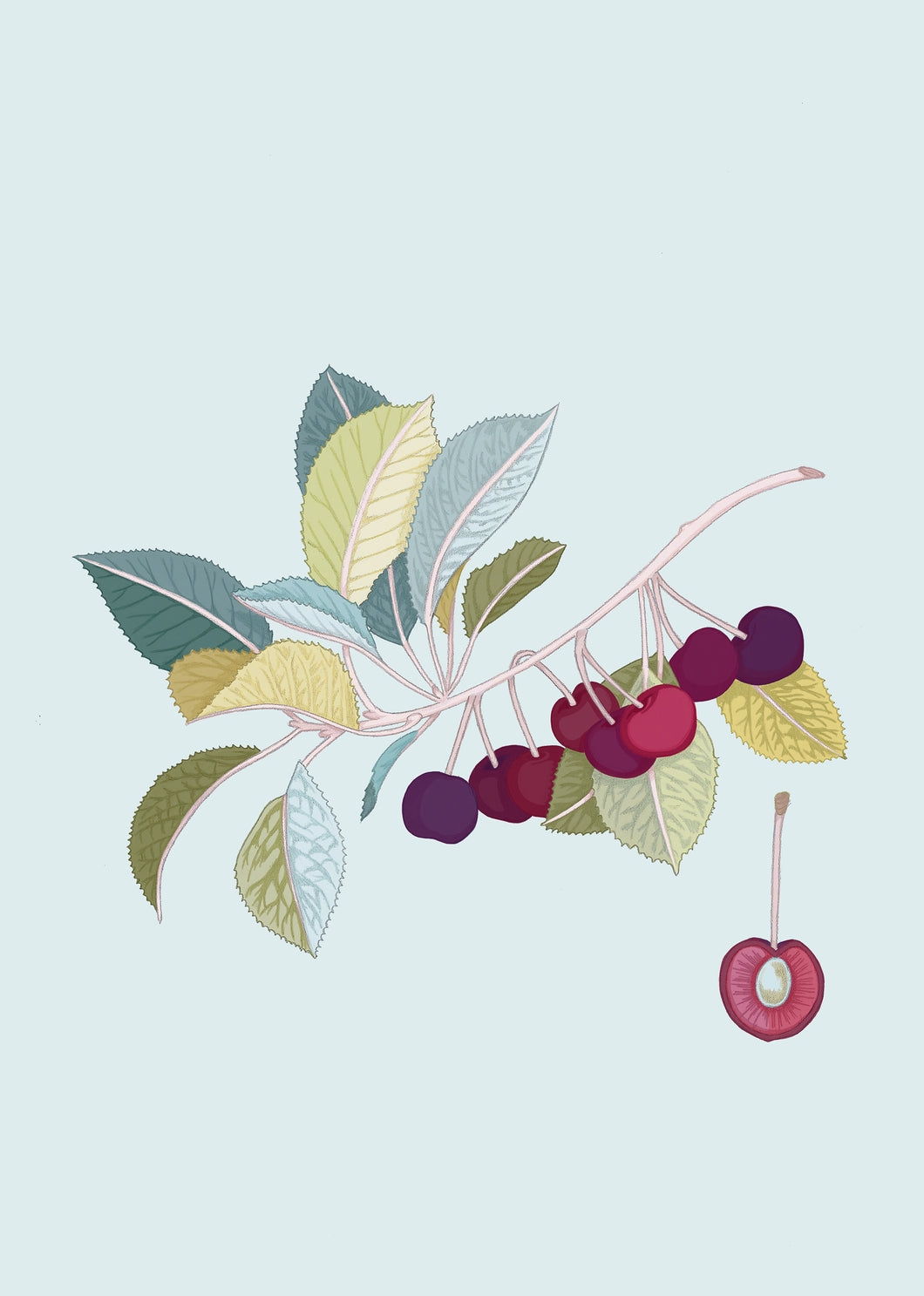 Cherry