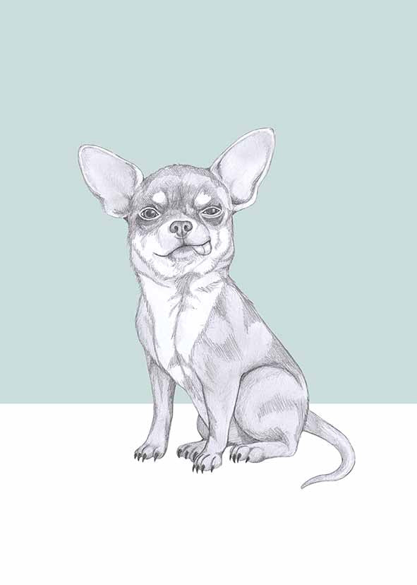 Chihuahua, illustrated animal art card by I AM NIEN Amsterdam artist
