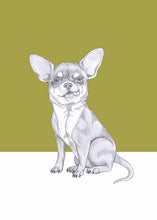 Load image into Gallery viewer, chihuahua
