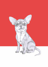 Load image into Gallery viewer, chihuahua
