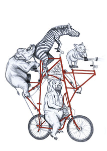 circus bike