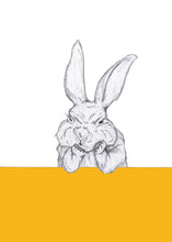 Load image into Gallery viewer, grumpy bunny

