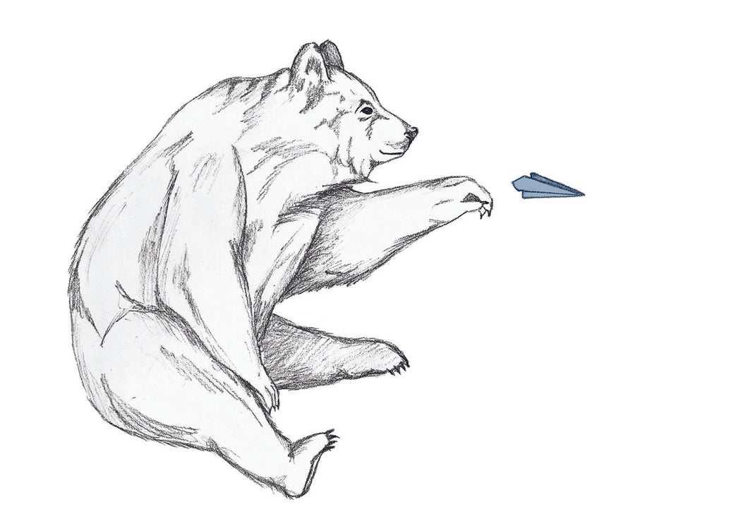 paper plane bear