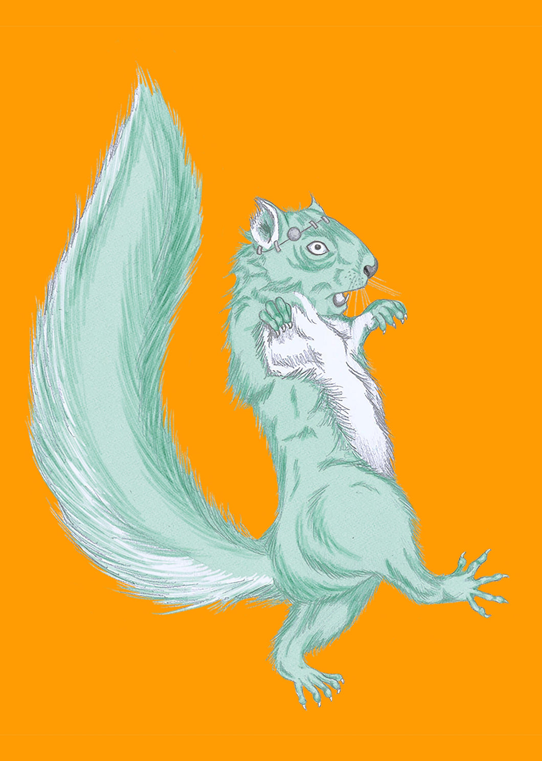 Frankensquirrel