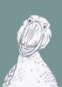happy shoebill