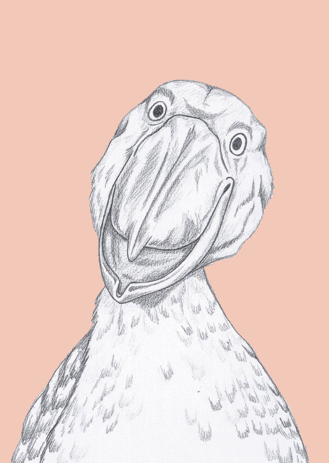 happy shoebill