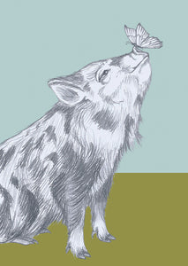 Little pig