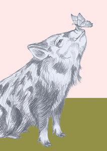 Little pig