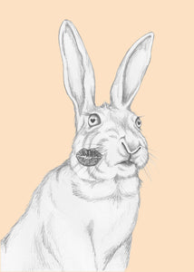 lovestruck hare
