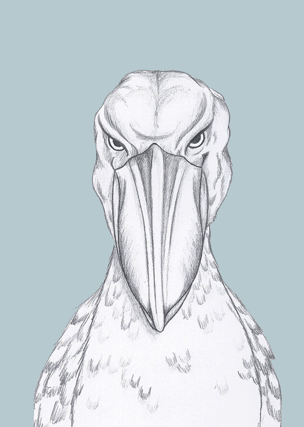 mad shoebill