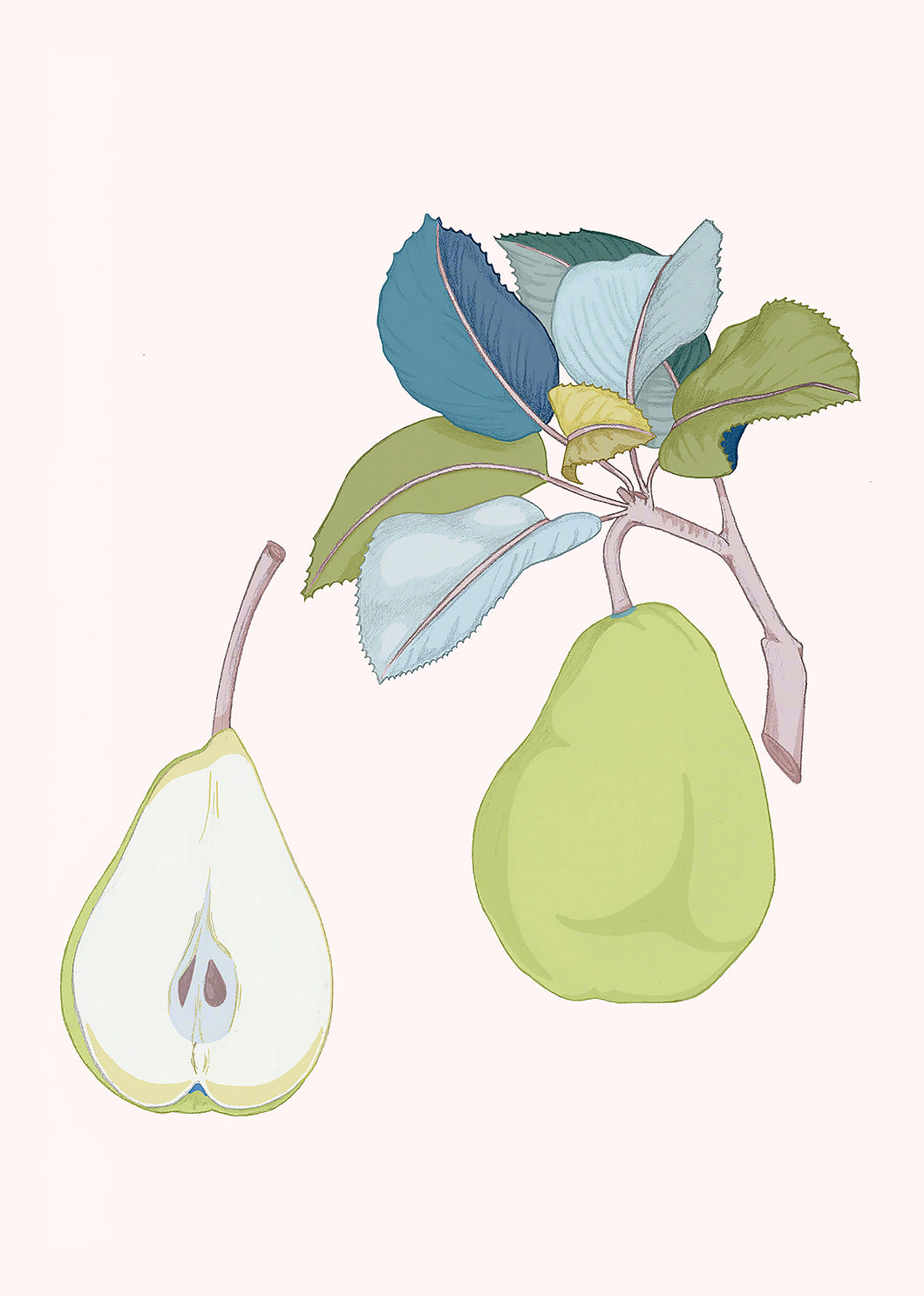 Pear