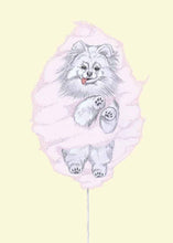 Load image into Gallery viewer, pomeranian
