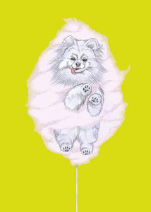 pomeranian