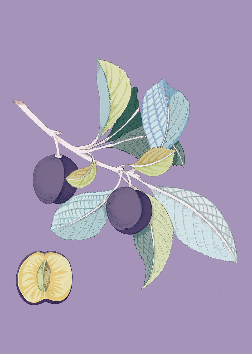 Prune