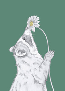 raccoon with flower