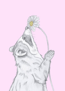 raccoon with flower