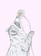 Load image into Gallery viewer, raccoon with flower
