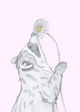 Load image into Gallery viewer, raccoon with flower
