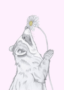 raccoon with flower