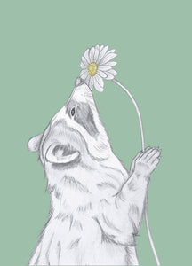 raccoon with flower