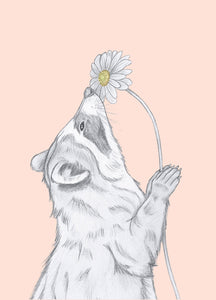 raccoon with flower