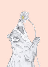 Load image into Gallery viewer, raccoon with flower
