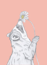 Load image into Gallery viewer, raccoon with flower
