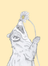 Load image into Gallery viewer, raccoon with flower
