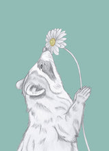 Load image into Gallery viewer, raccoon with flower
