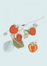 Load image into Gallery viewer, Strawberry
