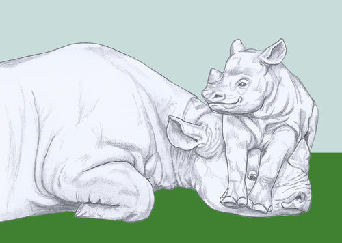 rhino mom and baby