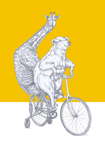 bike ride