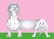 Load image into Gallery viewer, dachshund
