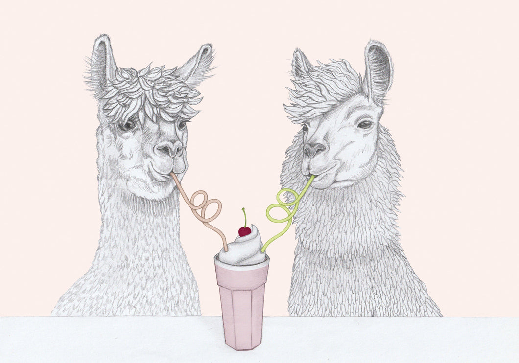datenight alpaca and lama