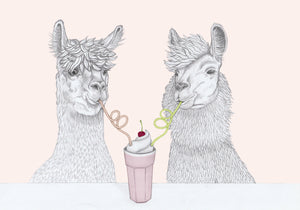 datenight alpaca and lama