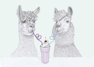 datenight alpaca and lama