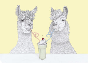 datenight alpaca and lama
