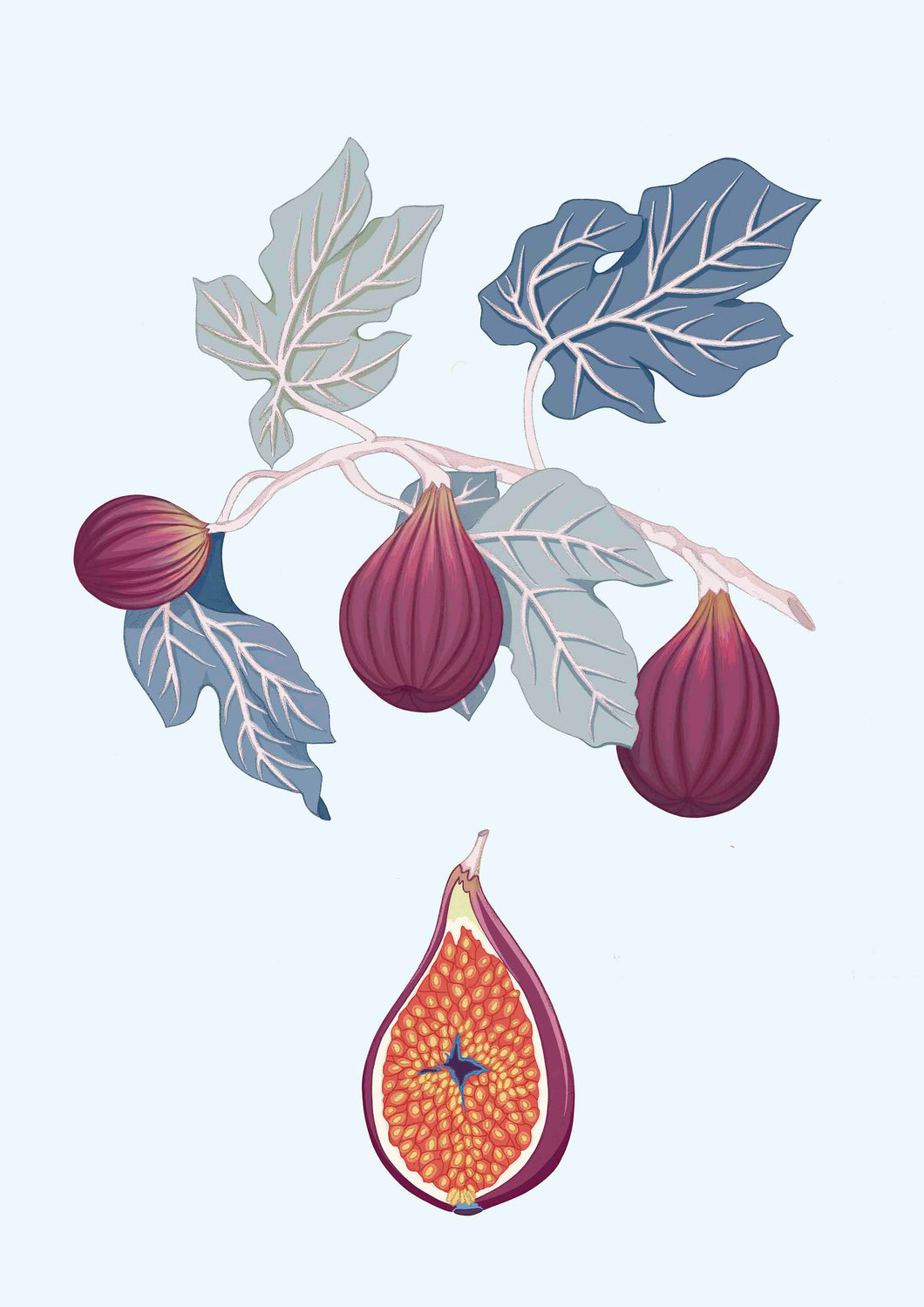 fig