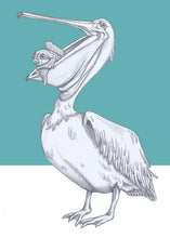 Load image into Gallery viewer, pelican and fish
