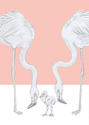 flamingo parents and baby
