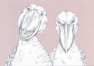 shoebill friends
