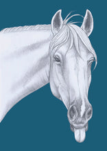 Load image into Gallery viewer, horse
