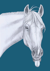 horse