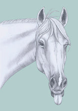 Load image into Gallery viewer, horse
